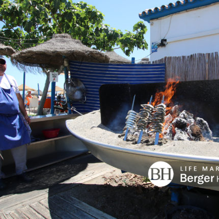 Berger Homes Life Marbella