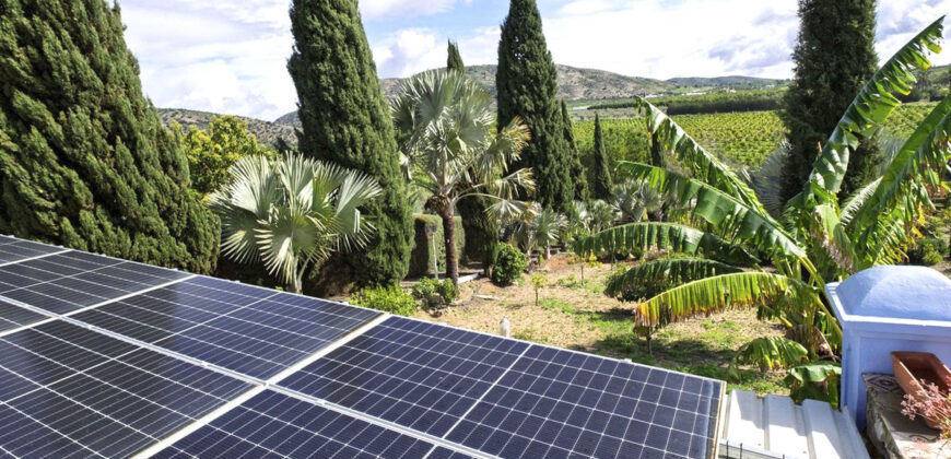 **Finca for Sale in Alhaurín el Grande with 6000 m2 Avocado and tropical garden**