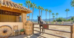 **Exceptional Rustic Finca for sale with Horse Stable in Alhaurín de la Torre **