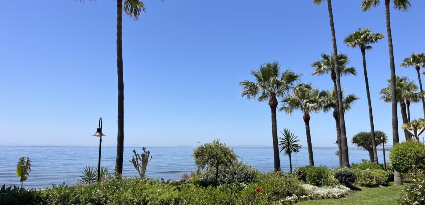 Ground Floor Apartment in Estepona Menara Beach 1201